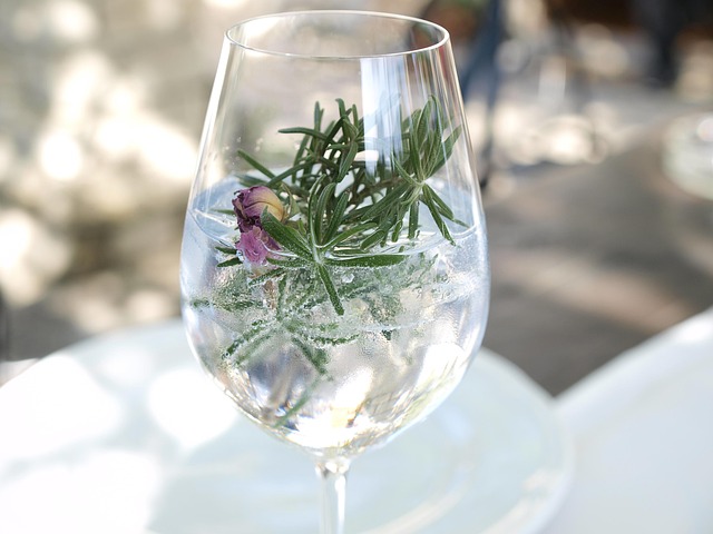 Tonic en levergezondheid: feiten, mythes en tips voor bewust gebruik