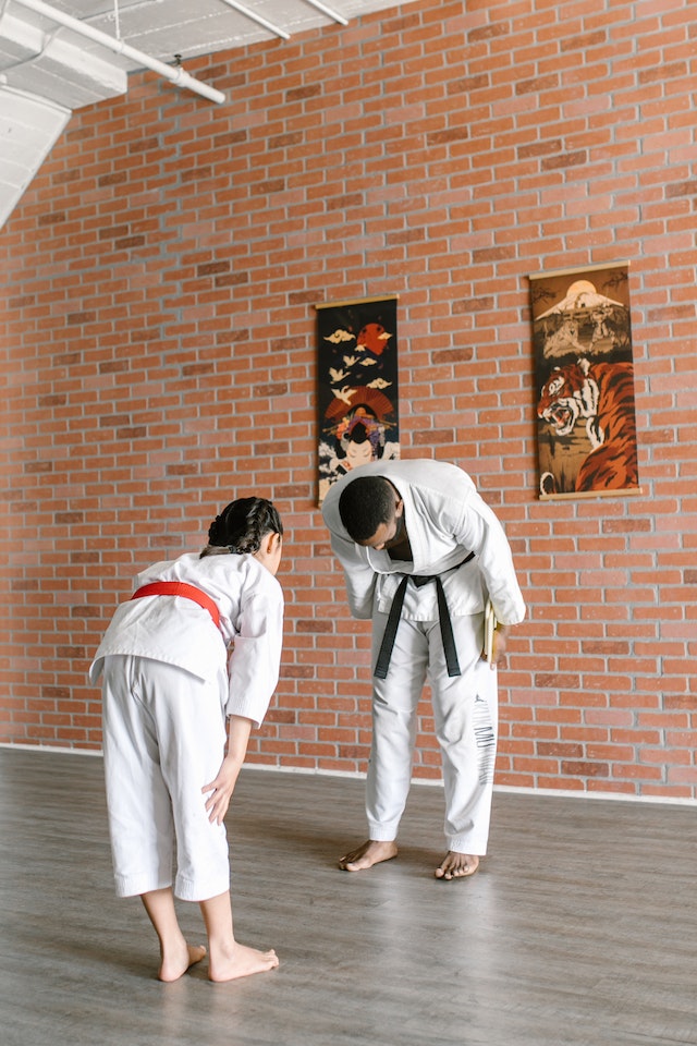 ju jitsu